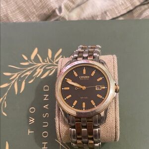 Citizen Eco-Drive Black and Gold Watch